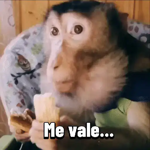 Monos graciosos contestones 🐒