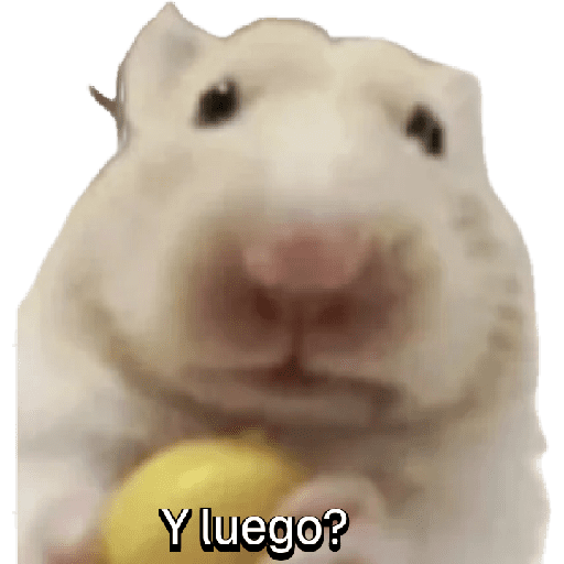 Hámsters ramdoncitos 🐹