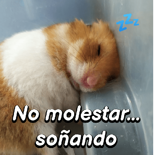 La mimisión 💤💤🐹 2
