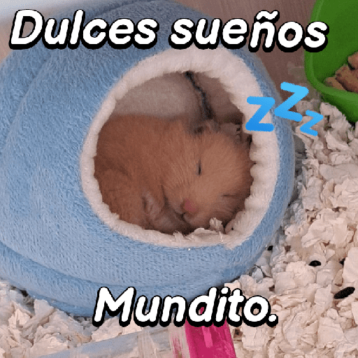 La mimisión 💤💤🐹 5