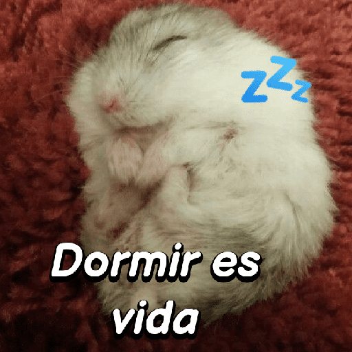 La mimisión 💤💤🐹 4