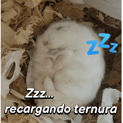 La mimisión 💤💤🐹 3