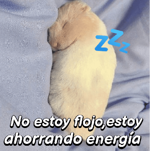 La mimisión 💤💤🐹 20