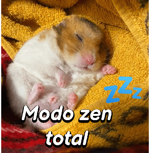 La mimisión 💤💤🐹 9