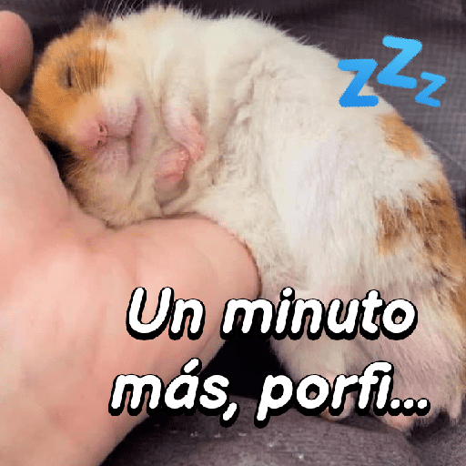 La mimisión 💤💤🐹