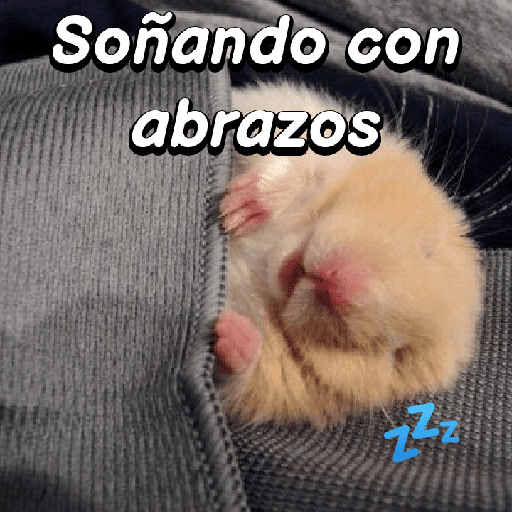 La mimisión 💤💤🐹 13