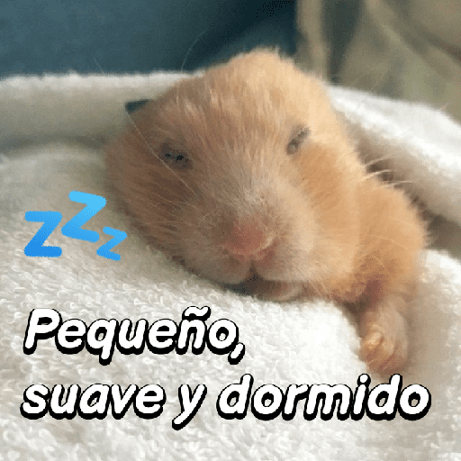 La mimisión 💤💤🐹 14