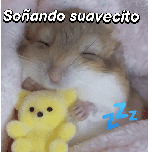 La mimisión 💤💤🐹 10
