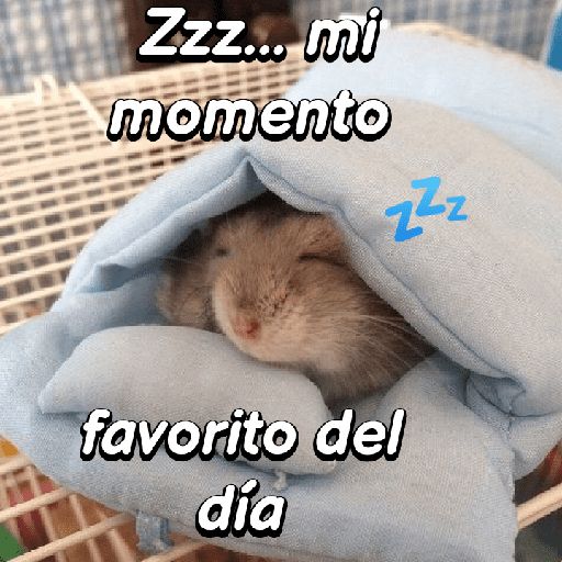 La mimisión 💤💤🐹 15