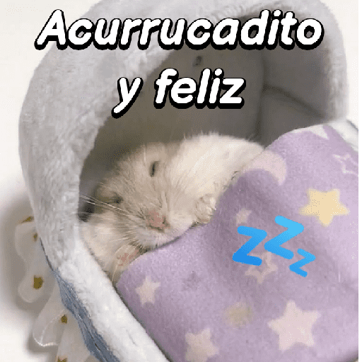 La mimisión 💤💤🐹 16
