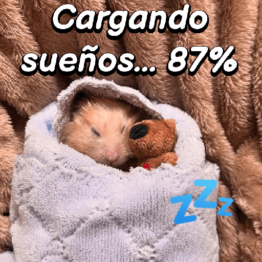 La mimisión 💤💤🐹 17