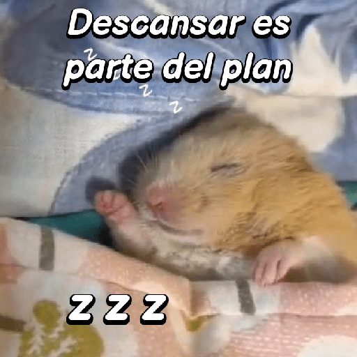 La mimisión 💤💤🐹 18