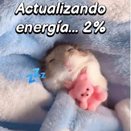 La mimisión 💤💤🐹 19