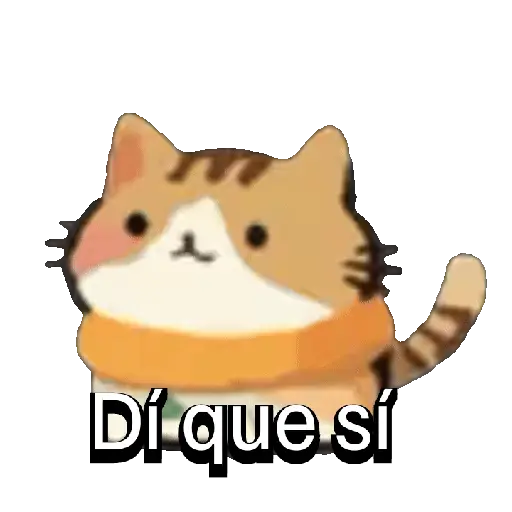 Gatito bolita 🐾🐱💬