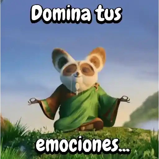Maestro Shifu (Kung fu panda)📽
