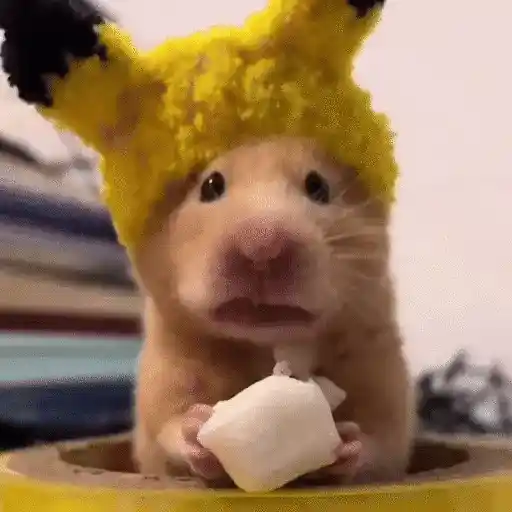 ⱭƊƠRⱭƁlҼ  ӇáⱮՏƬҼR 🐹
