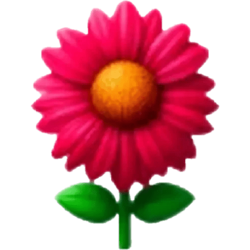 🌺 Simple flowers iphone 🌺