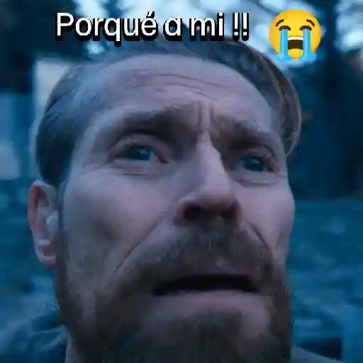 Memes para el chat 📱