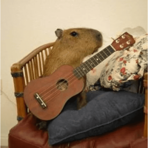 Capybara meme 🦫