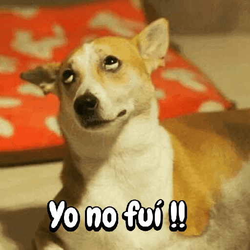 Funny Dogs 🐾🐶
