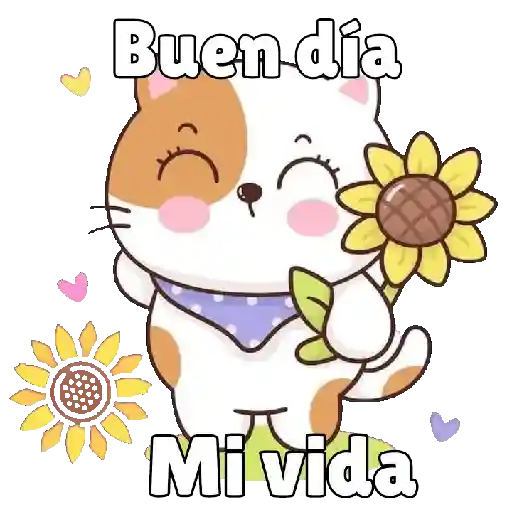 Amor, amor...cito! 💕💖💞💗 4