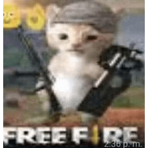 Cars 5