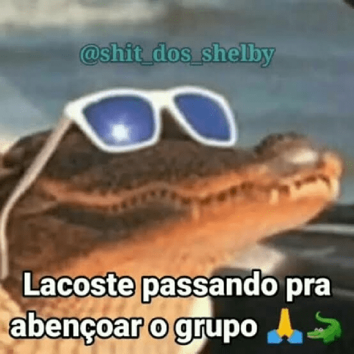 Memes brasileiros 12