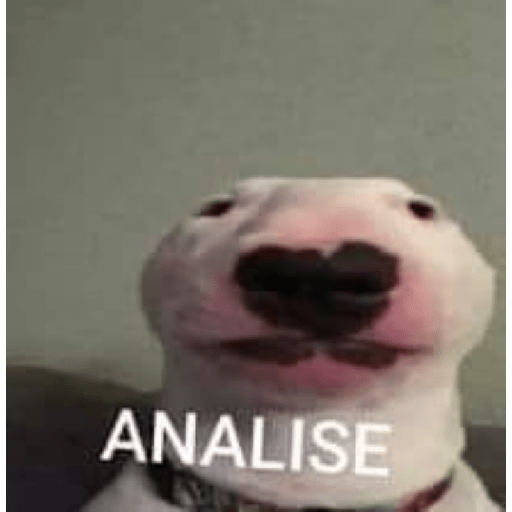 Memes brasileiros 3