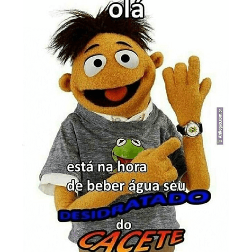 Memes brasileiros 23