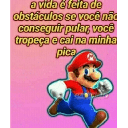 Memes brasileiros 15