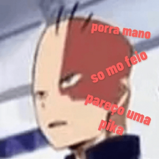 Memes brasileiros 28