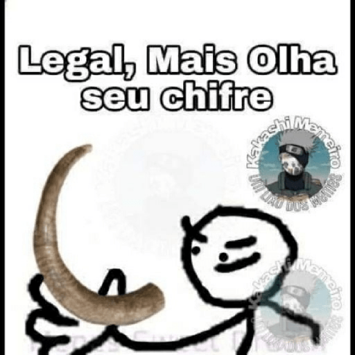 Memes brasileiros 27