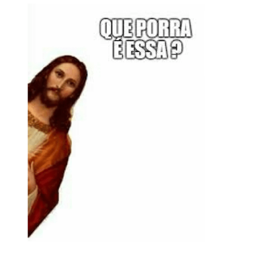Memes brasileiros 24