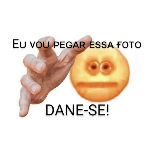 Memes brasileiros 13