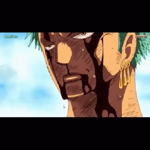 One piece 13