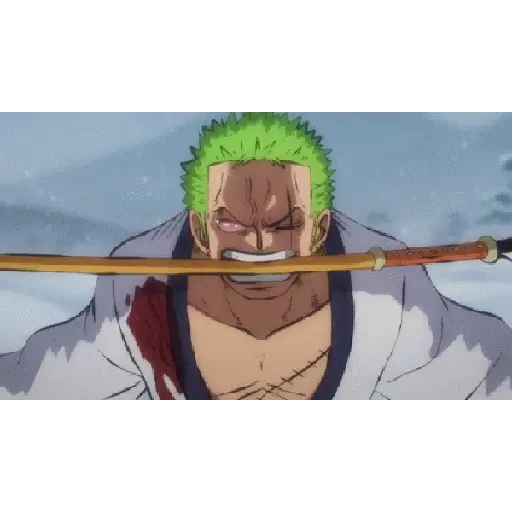One piece 17