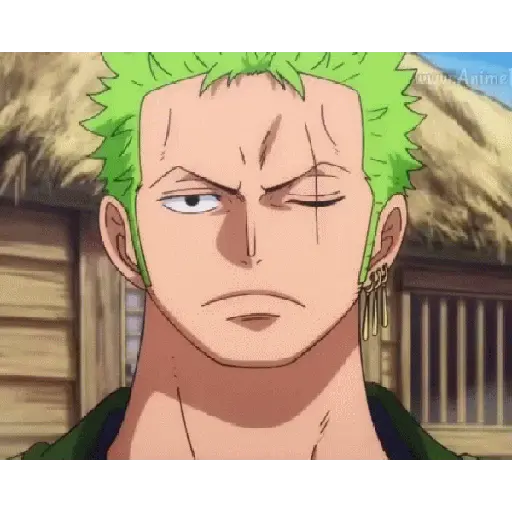 One piece 15