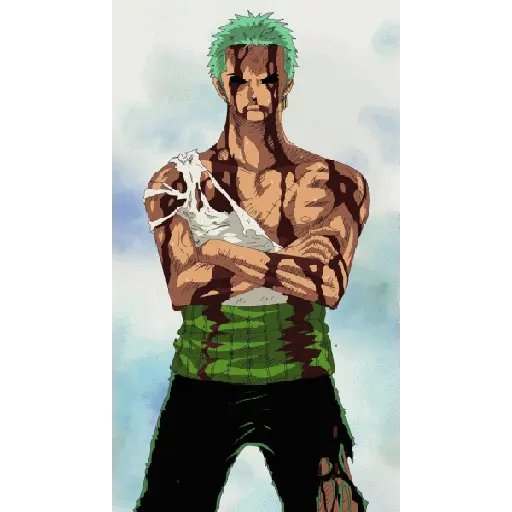 One piece 12