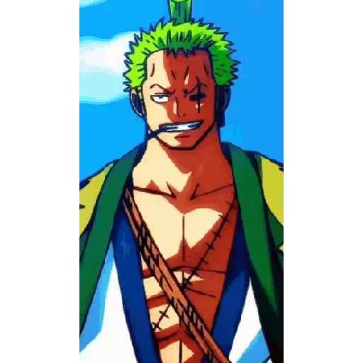 One piece 14