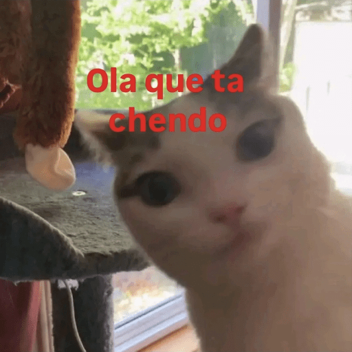 Gatos :3 2 23