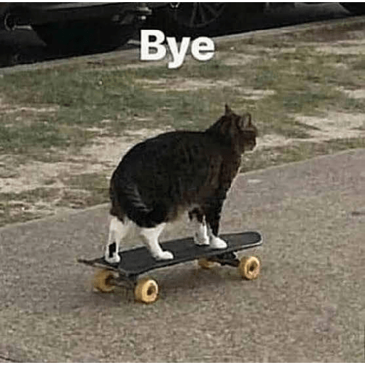 Gatos :3 2 20