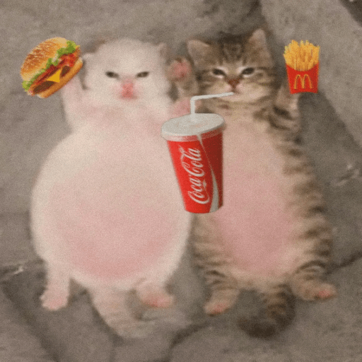 Gatos :3 2 24