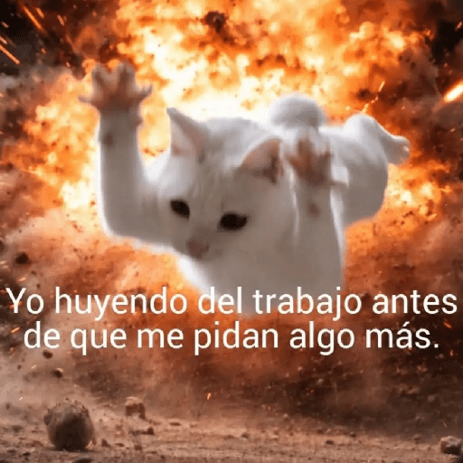 Gatos :3 2 25