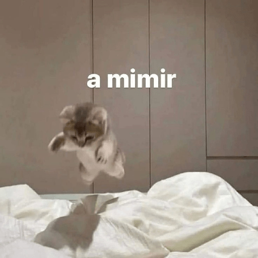 Gatos :3 2 4