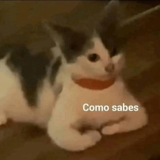 Gatos :3 2 14