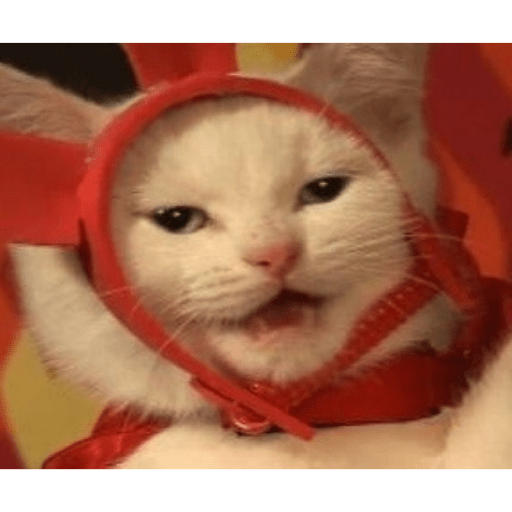 Gatos :3 2 15