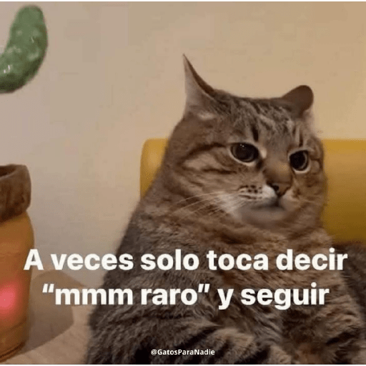 Gatos :3 2 17