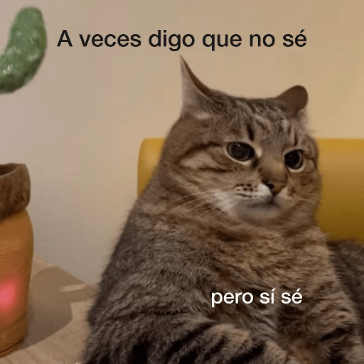 Gatos :3 2 18
