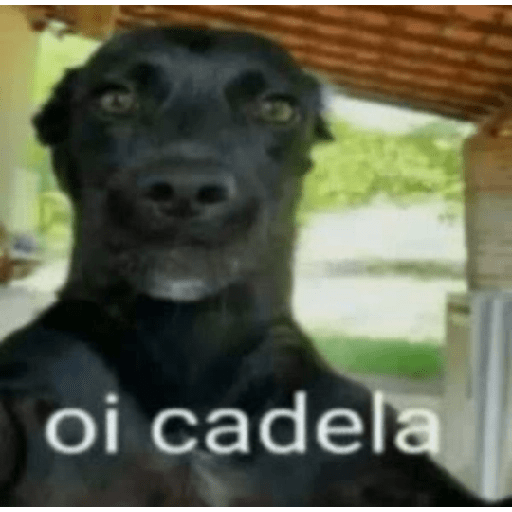 Apenas meu 9