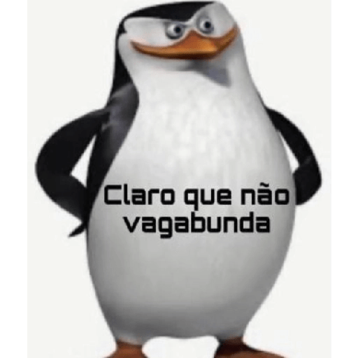 Apenas meu 13